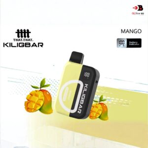That That Kiligbar 6000 Puffs Pod Kit Vape